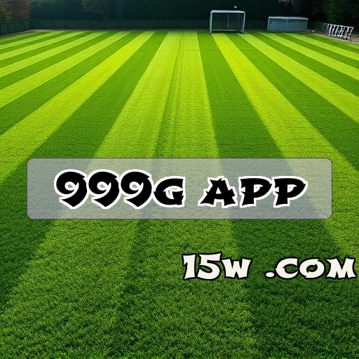 999g app Bingo